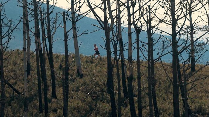 Corredor atravesando un bosque quemado